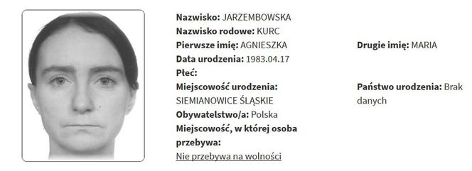 Rejestr Przestępców Seksualnych z województwa śląskiego [ZDJĘCIA]