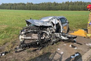 Śmiertelny wypadek pod Radomskiem. 47-latek nie miał szans w zderzeniu z ciężarówką przewożącą drewno [ZDJĘCIA]