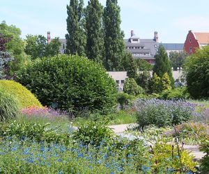 Ogród Botaniczny Uniwersytetu Wrocławskiego 