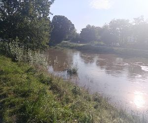 Stan rzeki Ślęza cały czas się podnosi. Przekroczono już stan alarmowy. Jak wygląda sytuacja?