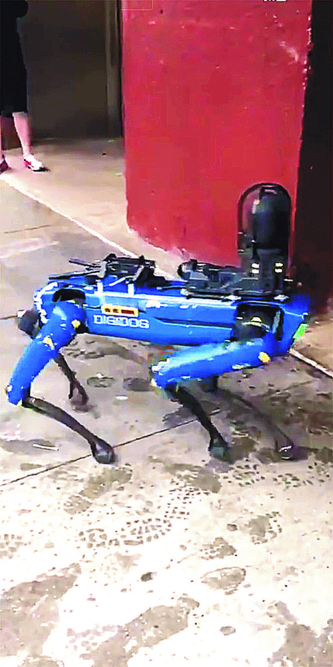 Robodogi straszą nowojorczyków