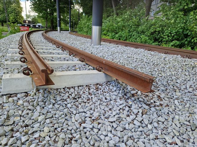 Torowisko tramwajowe na Babiej Wsi w Bydgoszczy zarośnięte chwastami. Tramwaje zniknęły stąd lata temu