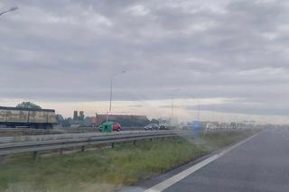 Śmiertelny wypadek na S7 pod Elblągiem [ZDJĘCIA]