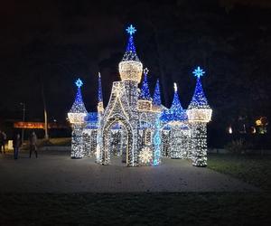 Park Iluminacji w Poznaniu. Magiczny Las
