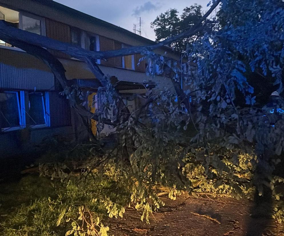 Burze przeszły przez województwo śląskie. Blisko 200 interwencji strażaków. Najwięcej w powiecie raciborskim