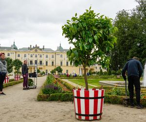 Białystok