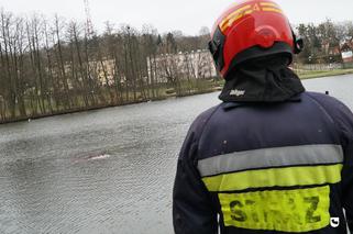 Mrągowo: Samochód wjechał do jeziora Magistrackiego