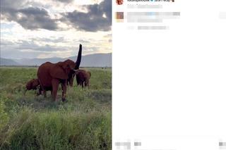 Natalia Janoszek pokazała się z najlepszej strony