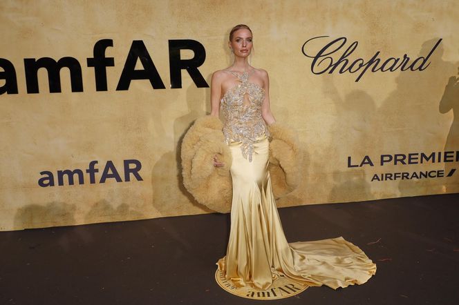  Gwiazdy  na gali amFAR w Cannes