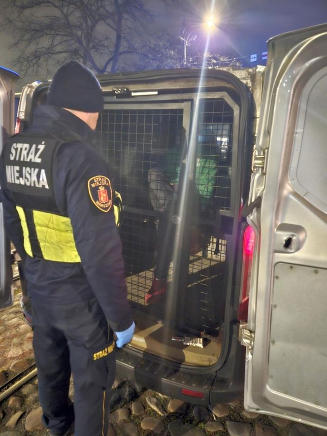 Z kradzionym motocyklem i kasetką z pieniędzmi. Strażnicy miejscy udaremnili zuchwałą kradzież