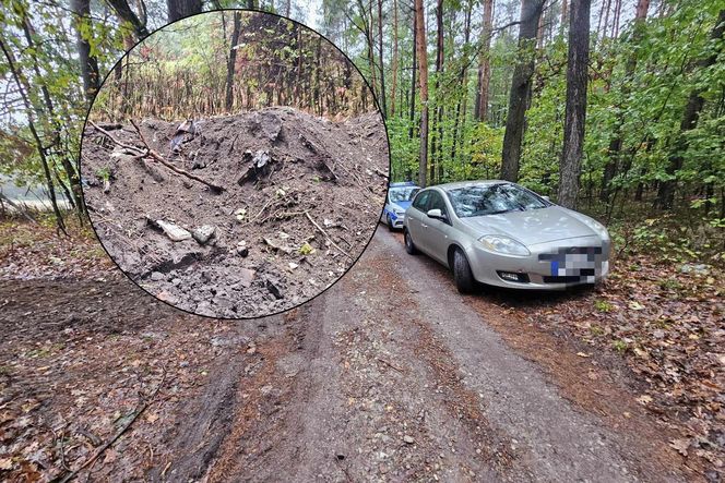 kto odpowiada za śmieci w lesi