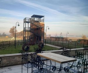 Ponidzie. Konik polski