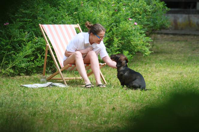 Anna Maria Żukowska: pies Moniki Jaruzelskiej chciał zgwałcić mojego pieska