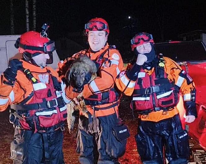 Przejechali 700 km żeby uratować psa uwięzionego na środku Bugu. Ratownicy z Kołobrzegu bohaterami