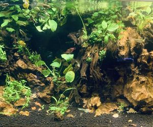 Rozmawiamy z Tomaszem Wiśniewskim, założycielem Aqua Dreams Bydgoszcz