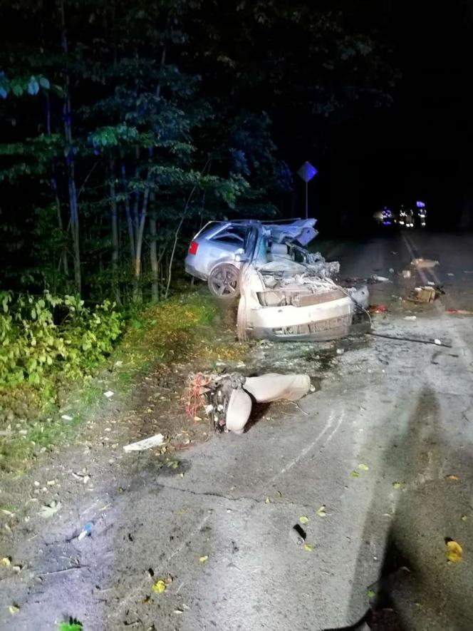 Audi rozdarte na strzępy. 21-latek zginął na miejscu