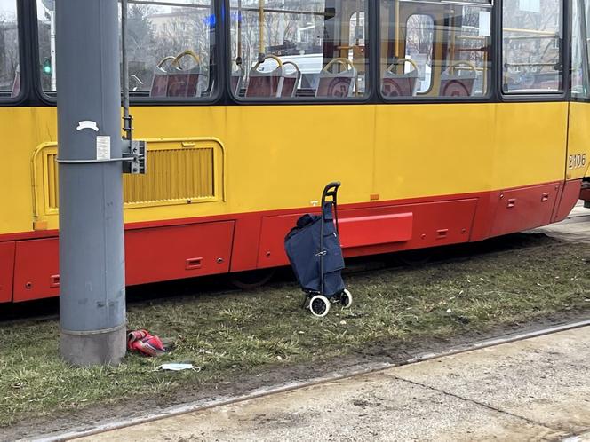 Wózeczek na zakupy