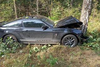 Roztrzaskała się Mustangiem na drzewie! Samochód rozbity, 22-latka ranna