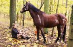 Baśka