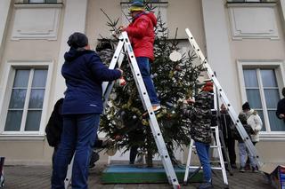 Kalisz. Udekorowana choinka stanęła na środku rzeki 