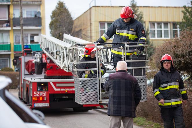 Kot fajtłapa wezwał strażaków.