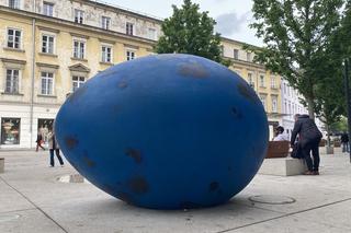 Pisklę. Drozda Śpiewaka