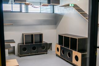 Nowe schronisko dla bezdomnych zwierząt w Szczecinie