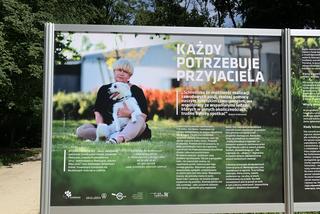 „Nie wygłupiaj się - adoptuj”. Miasto zorganizowało wyjątkową wystawę