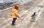 Młody Ziobro pogonił kaczki