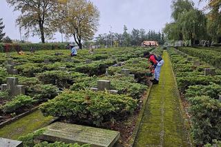 Żołnierze US Army sprzątają groby polskich żołnierzy 