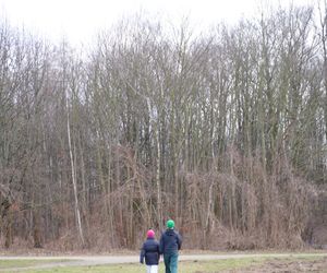 Lasek Marceliński w zimowym wydaniu. Nie jest śnieżnie, ale nadal wyjątkowo!