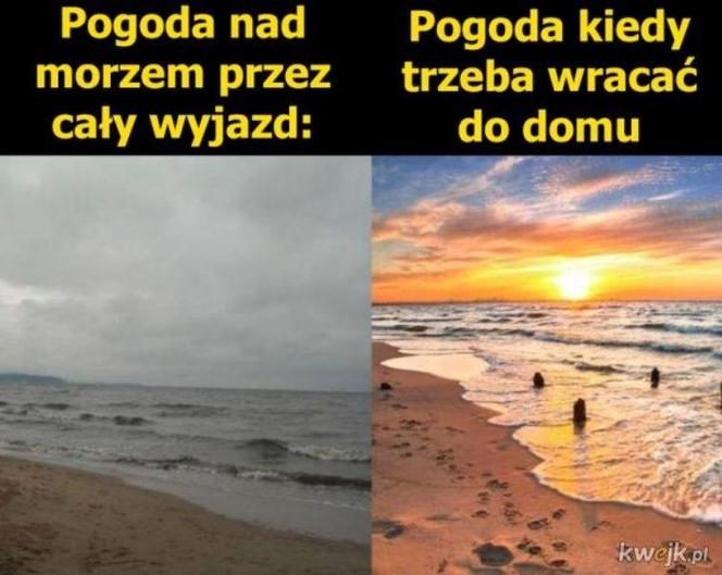 Rok szkolny tuż tuż! Zobacz najlepsze memy o końcu wakacji