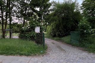 We Wrocławiu ma powstać nowa plaża. Sprawdź, gdzie planowany jest nowy beach bar