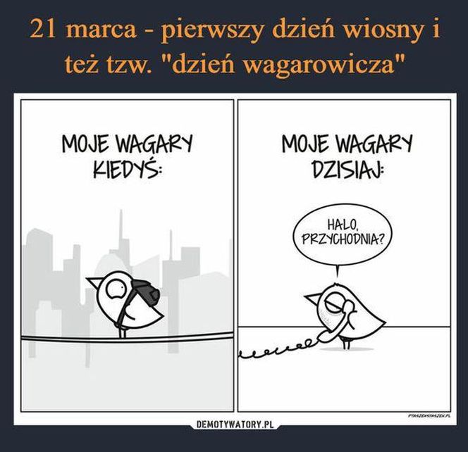 MEMY: 1 Dzień wiosny i Dzień Wagarowicza