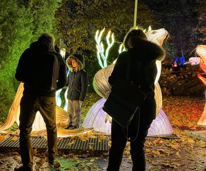 Garden of Lights we Wrocławiu