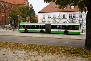 Wielki zmiany w komunikacji miejskiej w Białymstoku. Tak pojadą autobusy 11 listopada