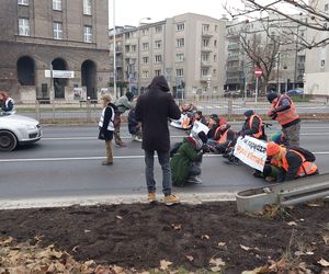 Ostatnie Pokolenie chce rozmów z premierem. Nieoficjalnie: do spotkania nie dojdzie [NASZ NEWS]