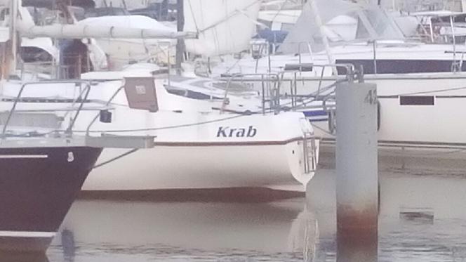 Tak nazywają się jachty i łodzie w gdyńskiej marinie