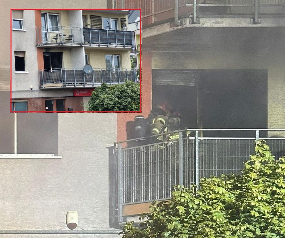 Policja przekazała nowe informacje w sprawie pożaru na ul. Lubickiej