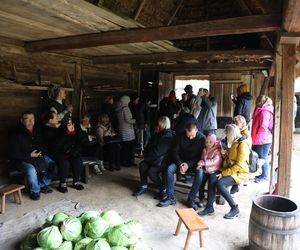 Tak ongiś siekano kapustę w woj. lubelskim. „Obieraczki kapuściane” w Muzeum Wsi Lubelskiej