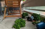 Balkon po burzy