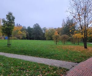 To najpiękniejszy park miejski w Olsztynie według AI. Zajmuje niemal 13 hektarów!
