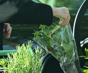 Grażyna Szapołowska sadzi się na wiosnę