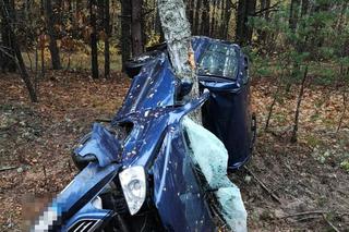 MAKABRYCZNY WYPADEK! Z samochodu zostało niewiele. Kierowca nie miał szans [ZDJĘCIA]