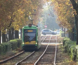 Kursów na liniach jest zbyt mało. Czy można liczyć na poprawę?