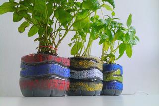 Zobacz jak zrobić kolorowe doniczki na zioła