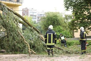 Groźne burze nad Polską. 11-latek został ranny. Alarmujące dane strażaków
