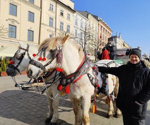 obrońcy zwierząt zniechęcają turystów do przejażdżek dorożkami 