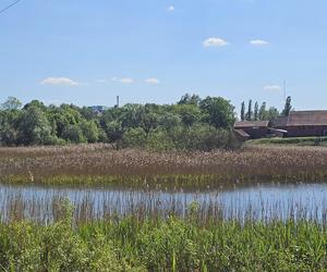 Było, zniknęło i... powróciło. Zobacz magiczne jezioro Track na obrzeżach Olsztyna [ZDJĘCIA]