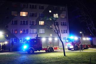 Makabra w Gostyninie, zwłoki w piwnicy bloku! Prokuratura bada sprawę